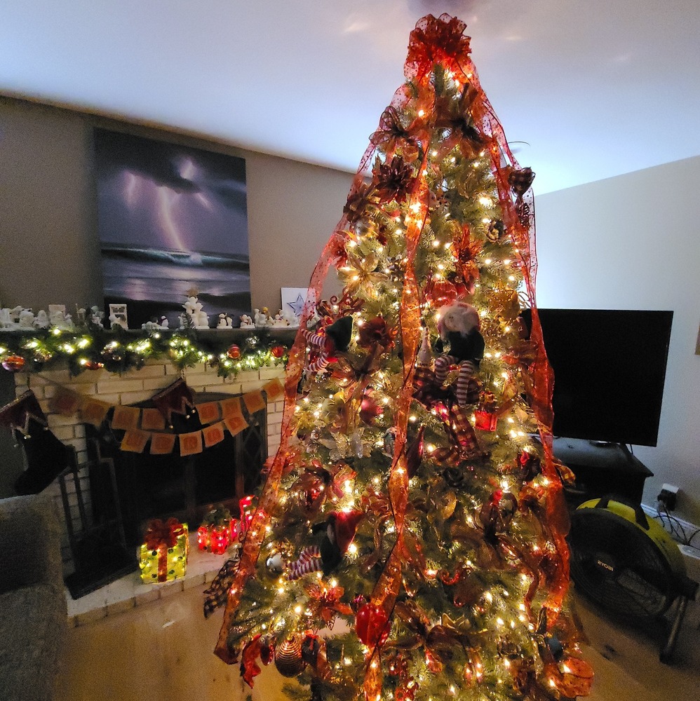 Meet your Posher, Ric